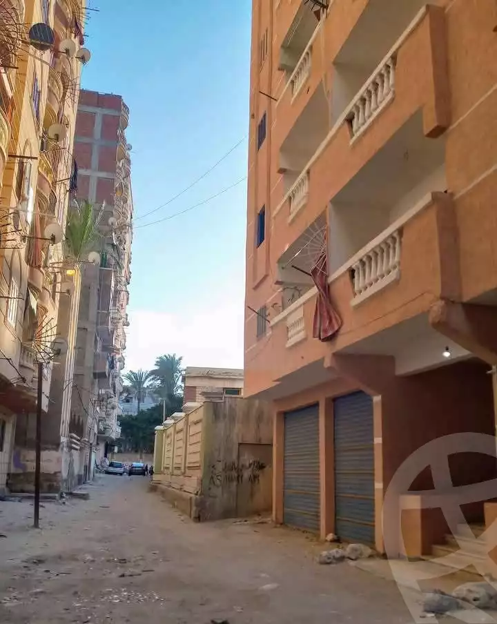 https://aqarmap.com.eg/en/listing/5923053-for-sale-alexandria-l-jmy-el-hanouvel
