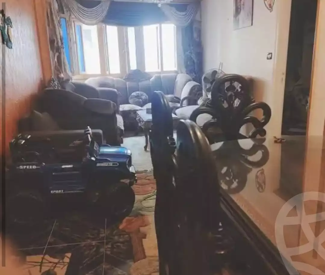 https://aqarmap.com.eg/en/listing/5925585-for-sale-alexandria-l-jmy-lbytsh-sabrin-st