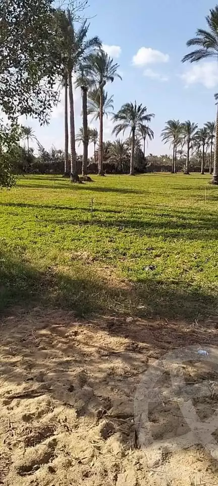 https://aqarmap.com.eg/en/listing/5926601-for-sale-beheira-wadi-el-natrun