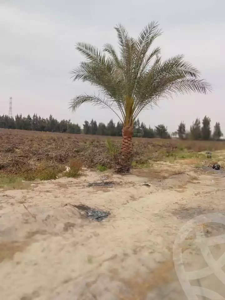 https://aqarmap.com.eg/en/listing/5926709-for-sale-beheira-wadi-el-natrun-bany-salama