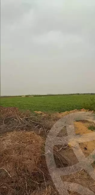 https://aqarmap.com.eg/en/listing/5926715-for-sale-beheira-wadi-el-natrun