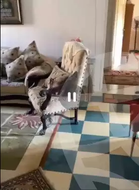 https://aqarmap.com.eg/ar/listing/5930688-for-sale-cairo-nasr-city-makram-ebeid