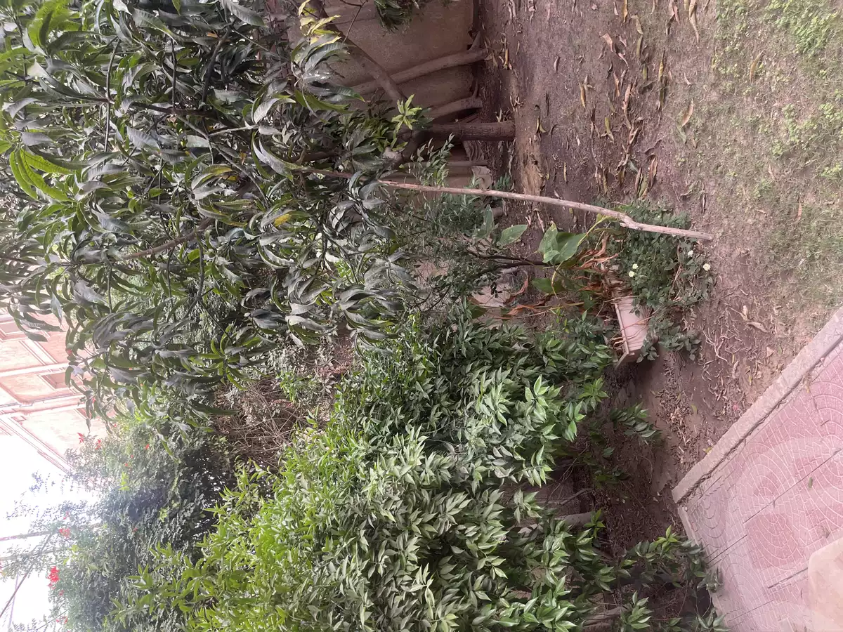 https://aqarmap.com.eg/en/listing/5933546-for-sale-cairo-new-cairo-el-ahyaa-first-neighborhood-no-32