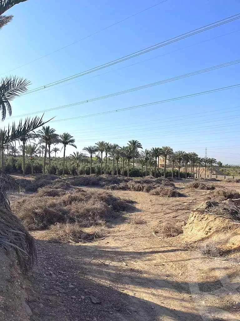 https://aqarmap.com.eg/en/listing/5936437-for-sale-cairo-ljyz