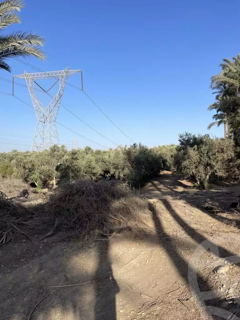 https://aqarmap.com.eg/en/listing/5936598-for-sale-cairo-el-mansuriyyah-el-saliba