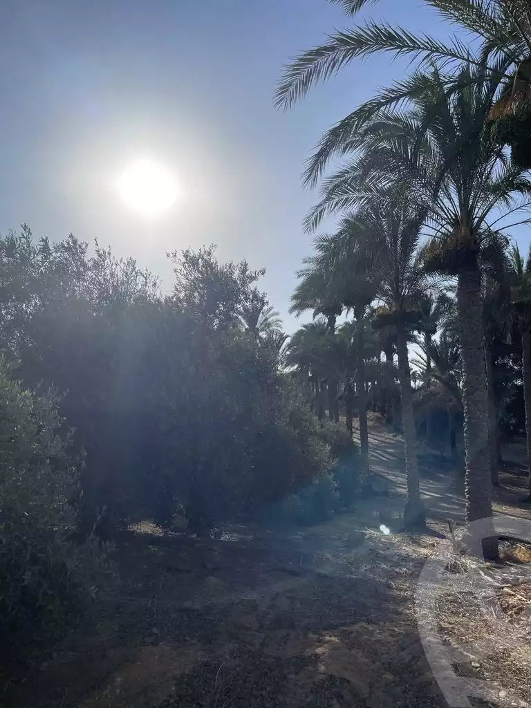 https://aqarmap.com.eg/ar/listing/5938003-for-sale-cairo-el-mansuriyyah-el-saliba
