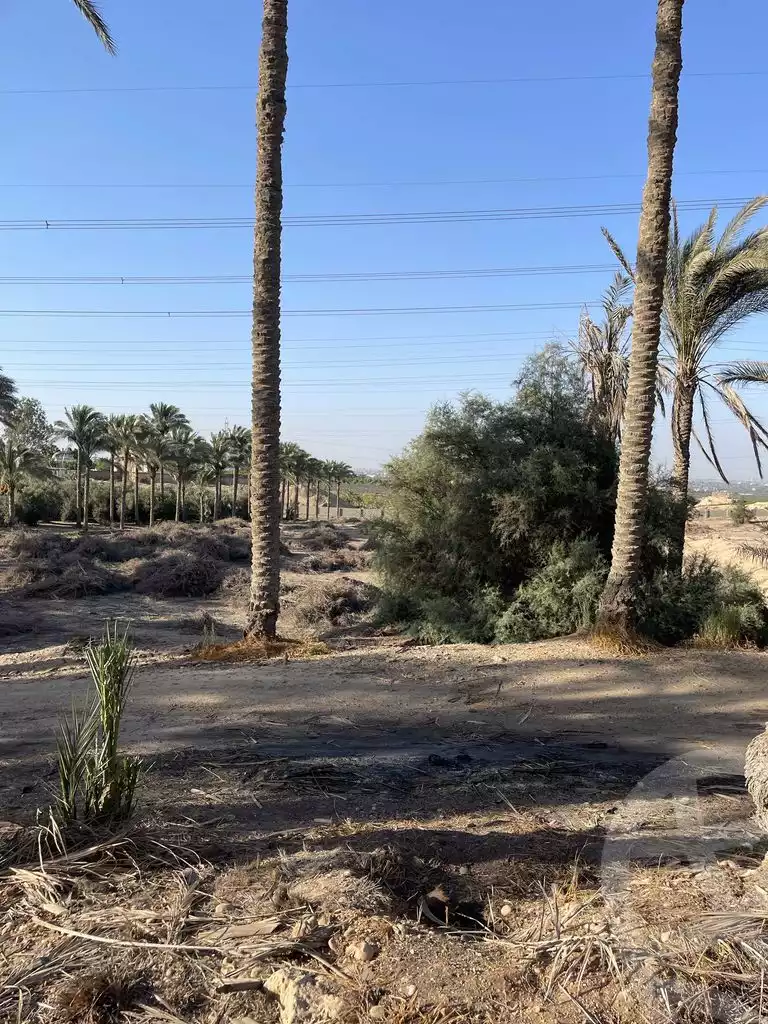 https://aqarmap.com.eg/ar/listing/5938145-for-sale-cairo-el-mansuriyyah-el-saliba