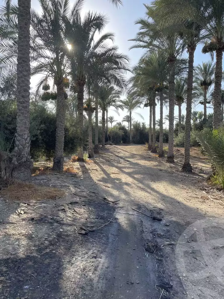 https://aqarmap.com.eg/en/listing/5938214-for-sale-cairo-el-mansuriyyah-el-saliba