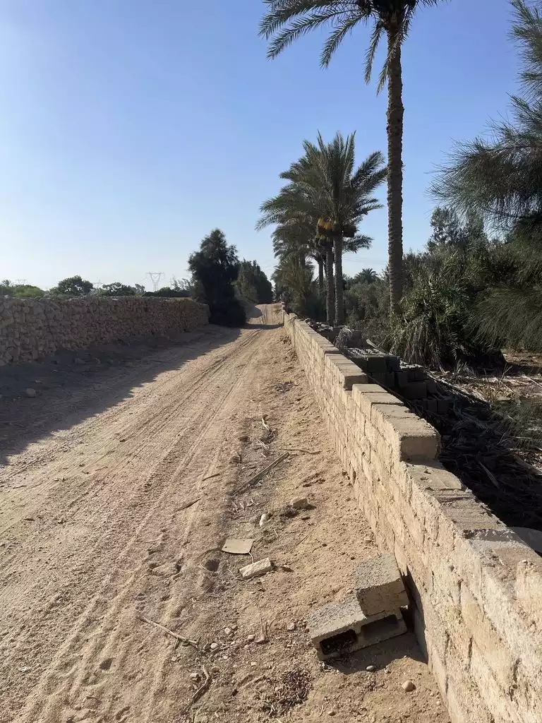 https://aqarmap.com.eg/en/listing/5938214-for-sale-cairo-el-mansuriyyah-el-saliba