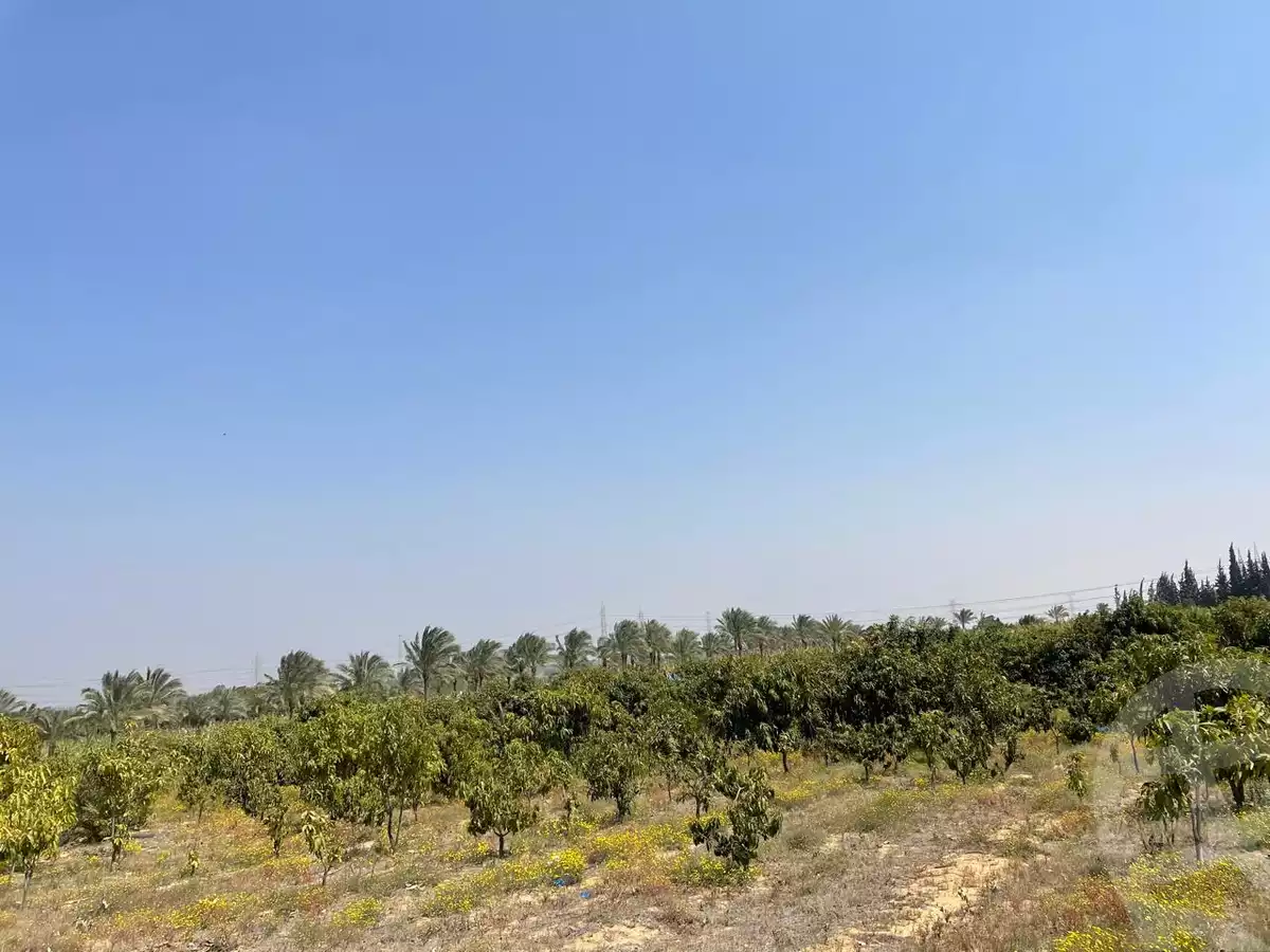 https://aqarmap.com.eg/ar/listing/5938219-for-sale-alexandria-cairo-alexandria-desert-road