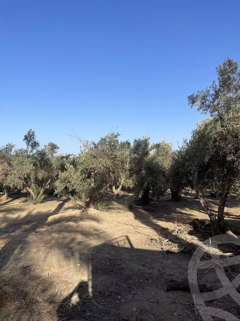 https://aqarmap.com.eg/en/listing/5938662-for-sale-cairo-ljyz