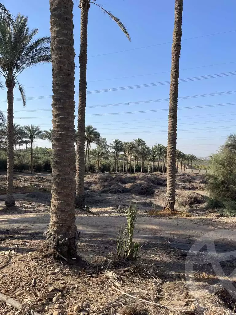 https://aqarmap.com.eg/en/listing/5938684-for-sale-cairo-faisal