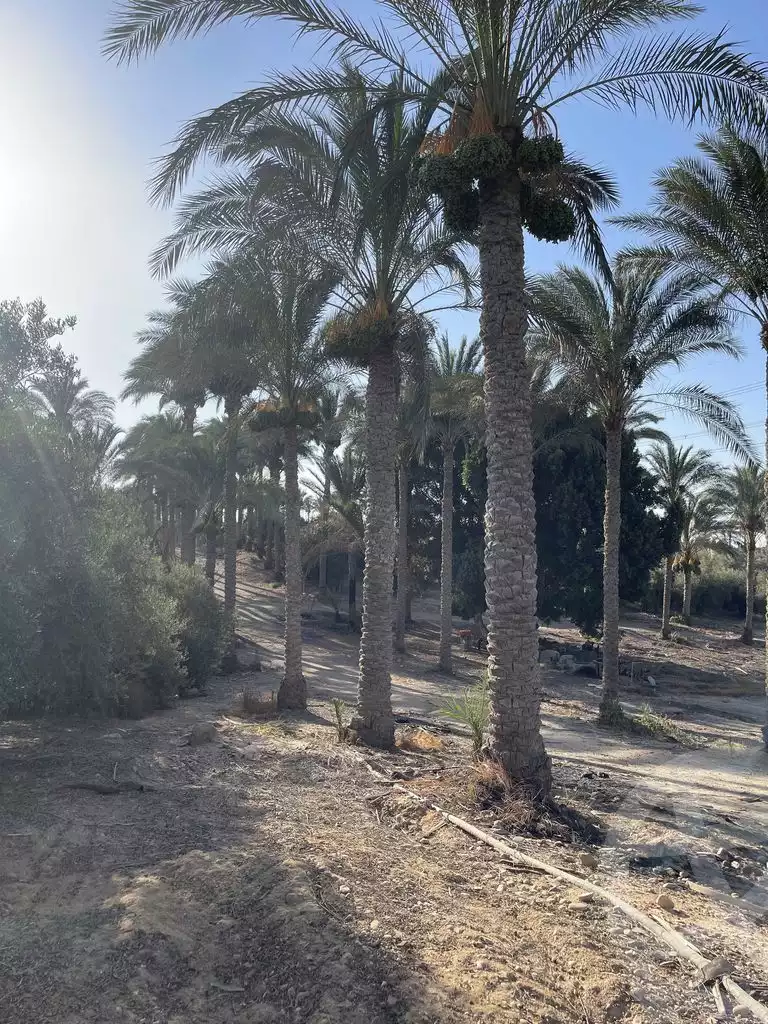 https://aqarmap.com.eg/en/listing/5938684-for-sale-cairo-faisal