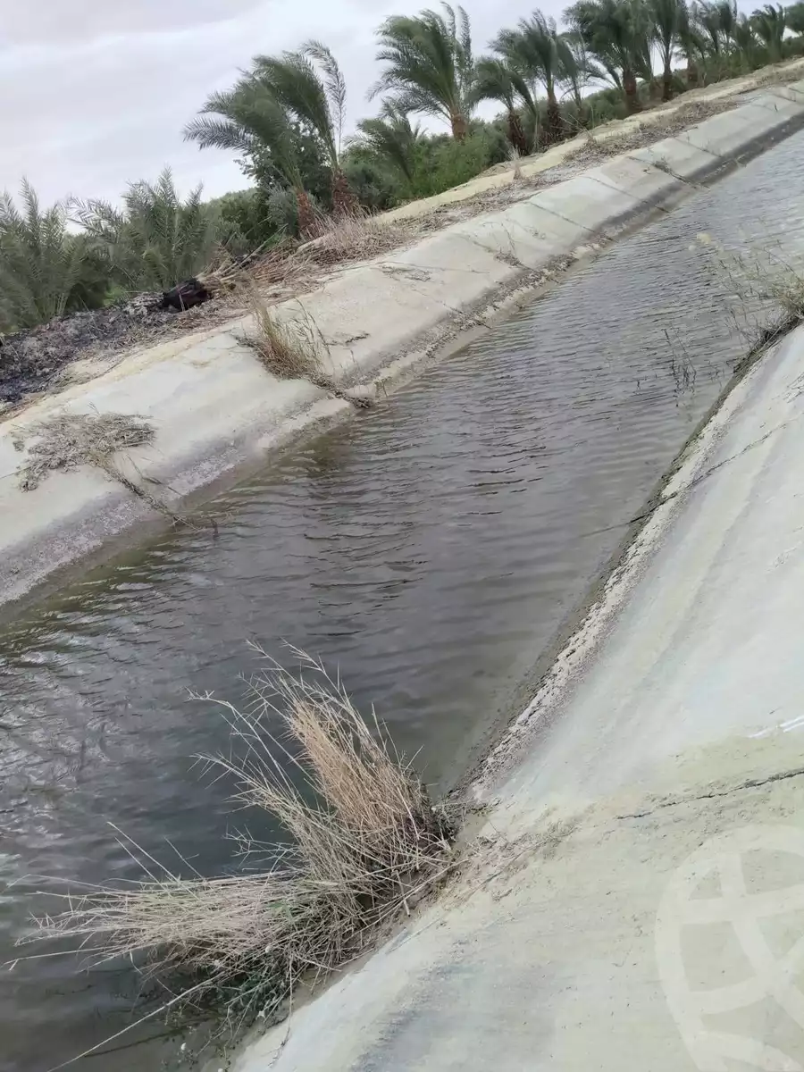 https://aqarmap.com.eg/en/listing/5938834-for-sale-el-fayoum-yousef-el-sedeeq-wady-el-rayan