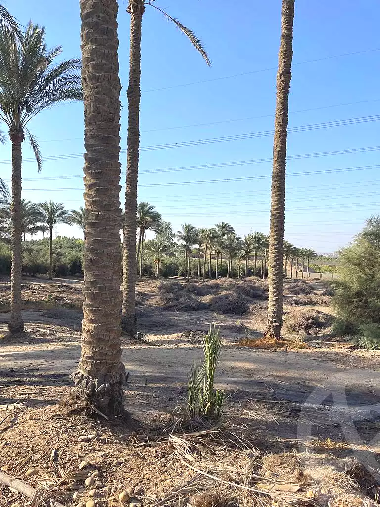 https://aqarmap.com.eg/ar/listing/5938907-for-sale-cairo-ljyz