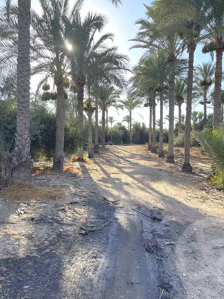 https://aqarmap.com.eg/ar/listing/5938949-for-sale-cairo-ljyz