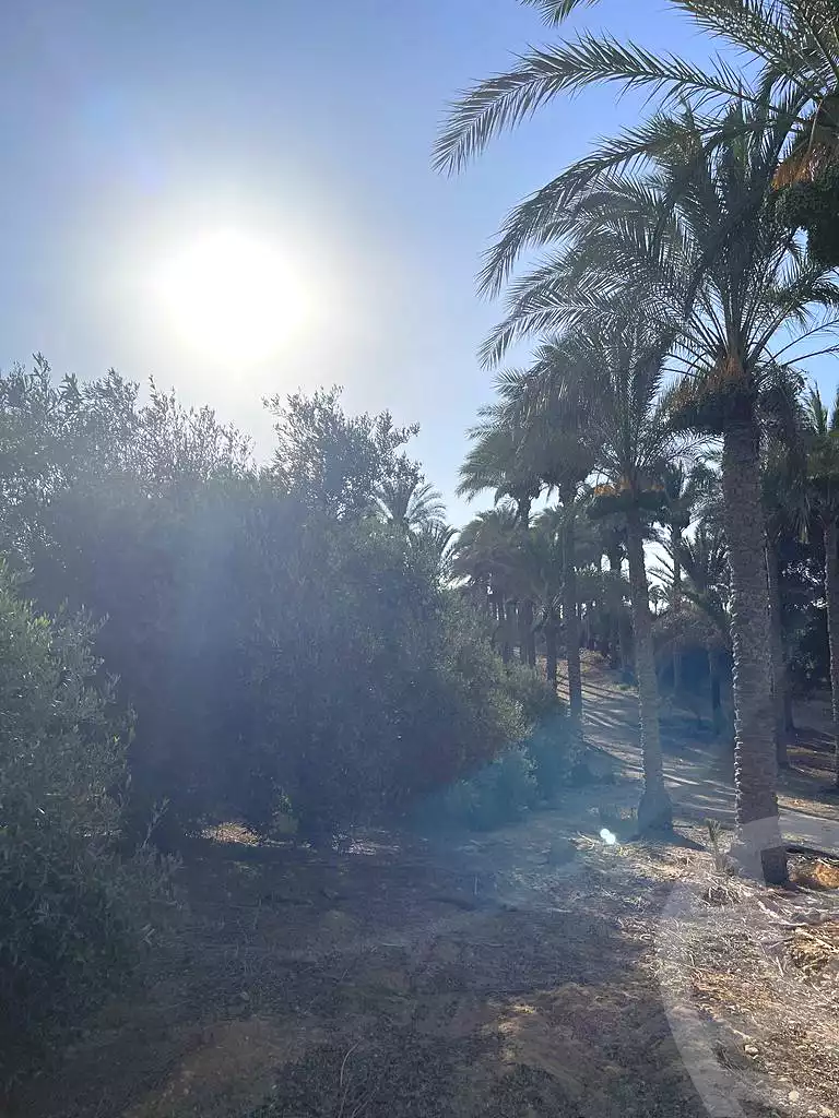 https://aqarmap.com.eg/ar/listing/5938961-for-sale-cairo-ljyz