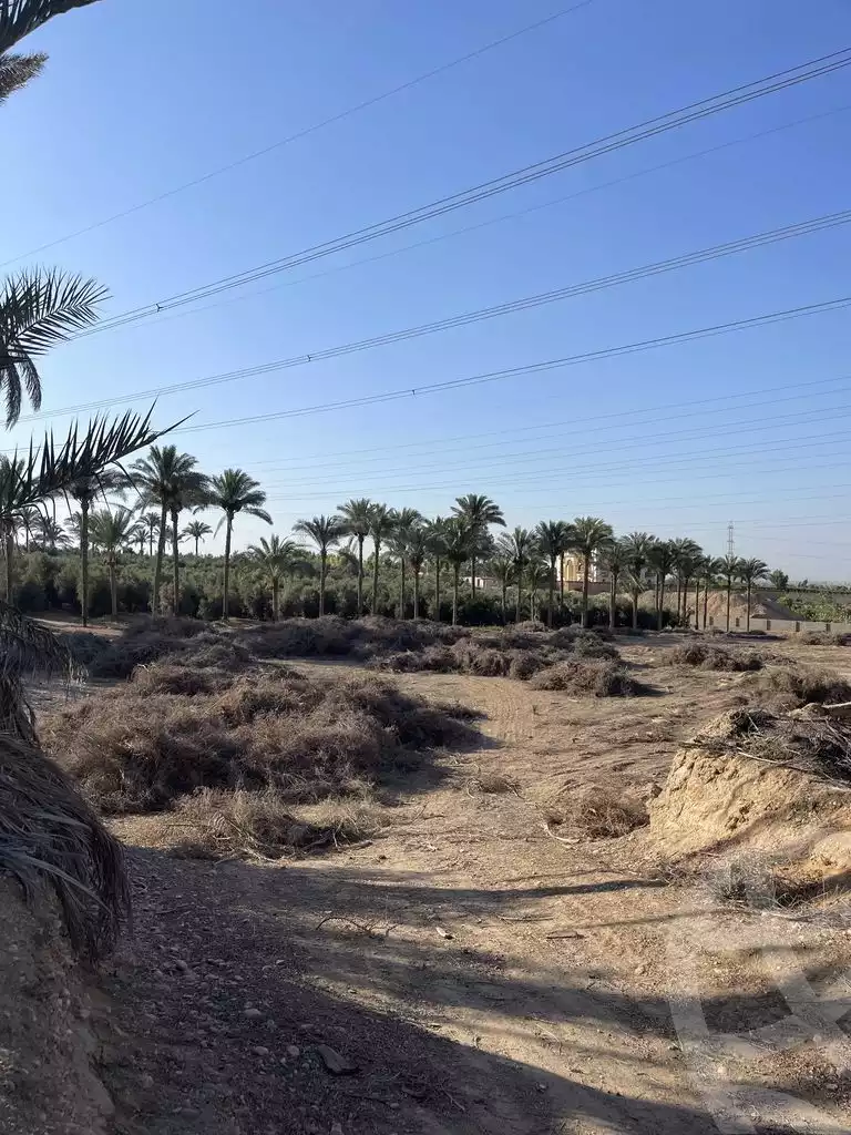 https://aqarmap.com.eg/en/listing/5942741-for-sale-cairo-ljyz