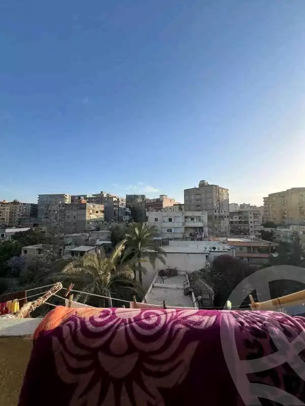 https://aqarmap.com.eg/en/listing/5944782-for-sale-alexandria-l-jmy-lbytsh-khalil-ballw-st