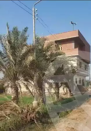 https://aqarmap.com.eg/en/listing/5946392-for-sale-sharqia-hihya-el-salamon