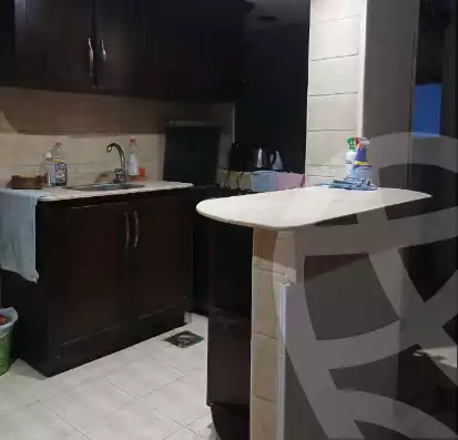 https://aqarmap.com.eg/en/listing/5949074-for-rent-cairo-al-zamalek-shr-hmd-hshmt