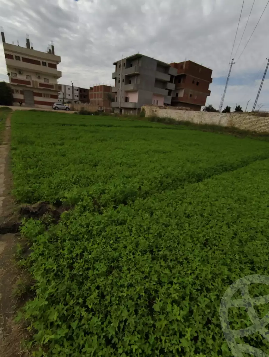 https://aqarmap.com.eg/ar/listing/5950034-for-sale-ismailia-kassassin