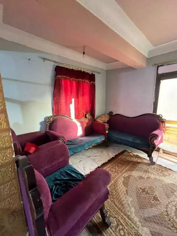 https://aqarmap.com.eg/en/listing/5957293-for-sale-alexandria-l-jmy-lbytsh-khalil-ballw-st