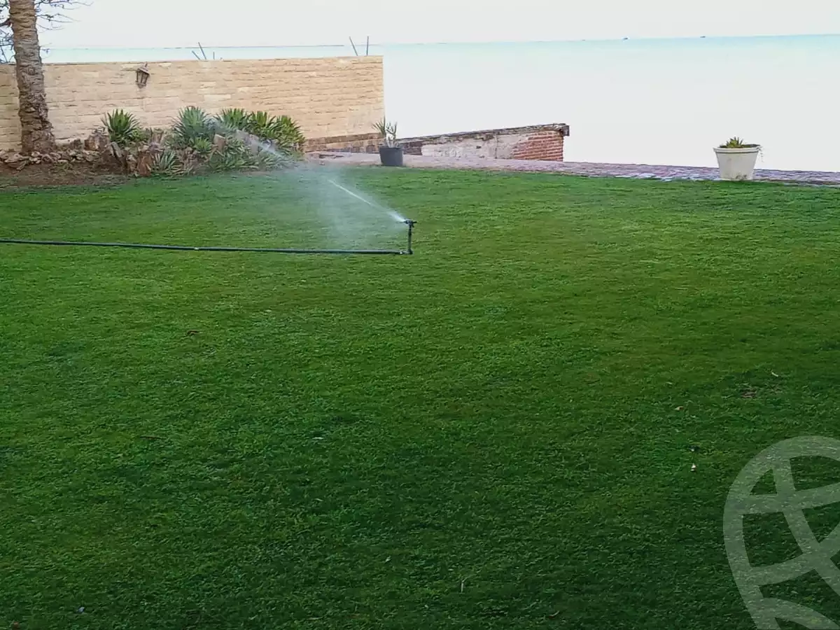 https://aqarmap.com.eg/en/listing/5958922-for-rent-ismailia-fayed-el-menyawy-rd
