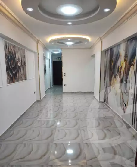 https://aqarmap.com.eg/en/listing/5961634-for-sale-alexandria-l-jmy-el-hanouvel-rich-home-st