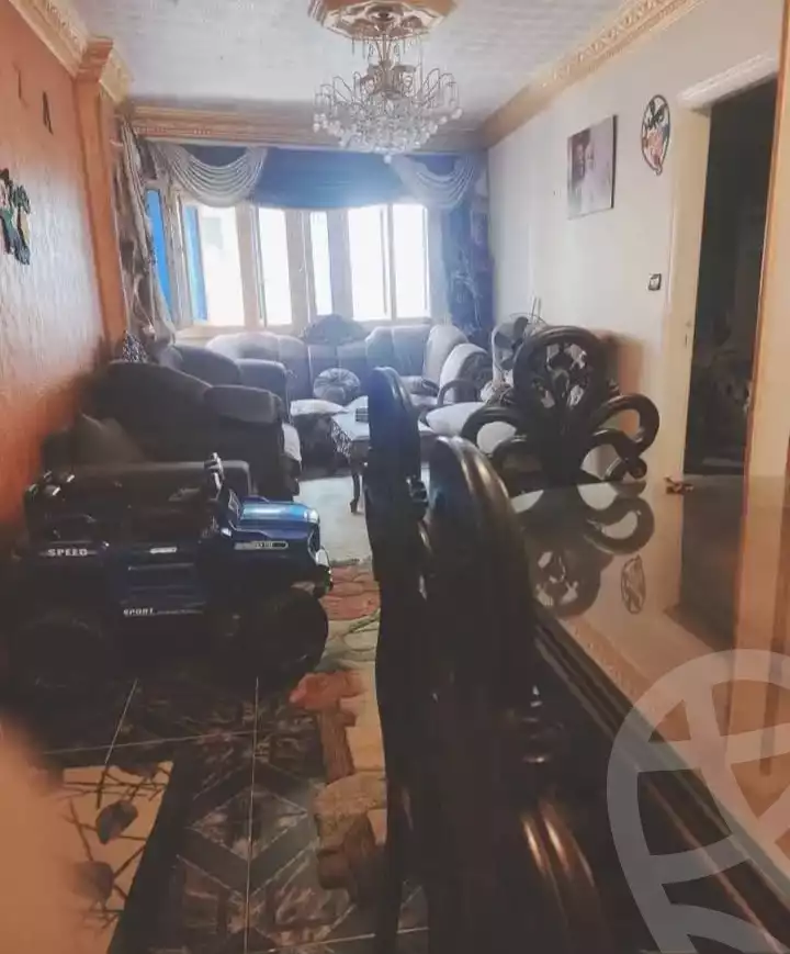 https://aqarmap.com.eg/en/listing/5964652-for-sale-alexandria-l-jmy-lbytsh-sabrin-st