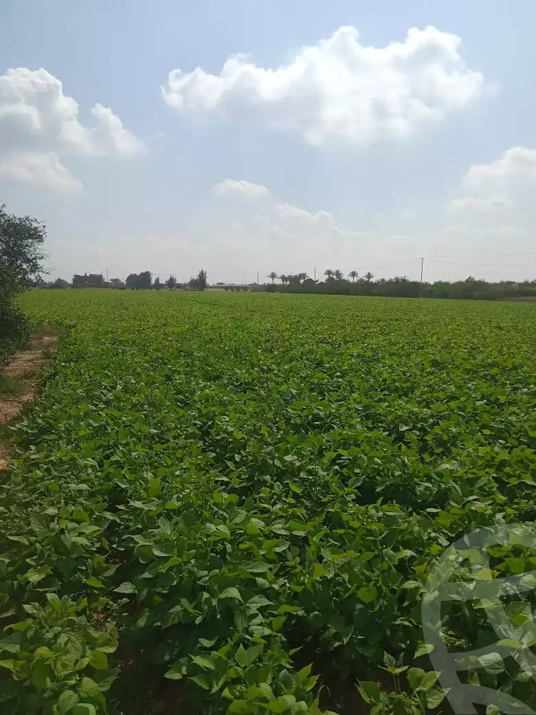 https://aqarmap.com.eg/en/listing/5965026-for-sale-beheira-el-dlengat