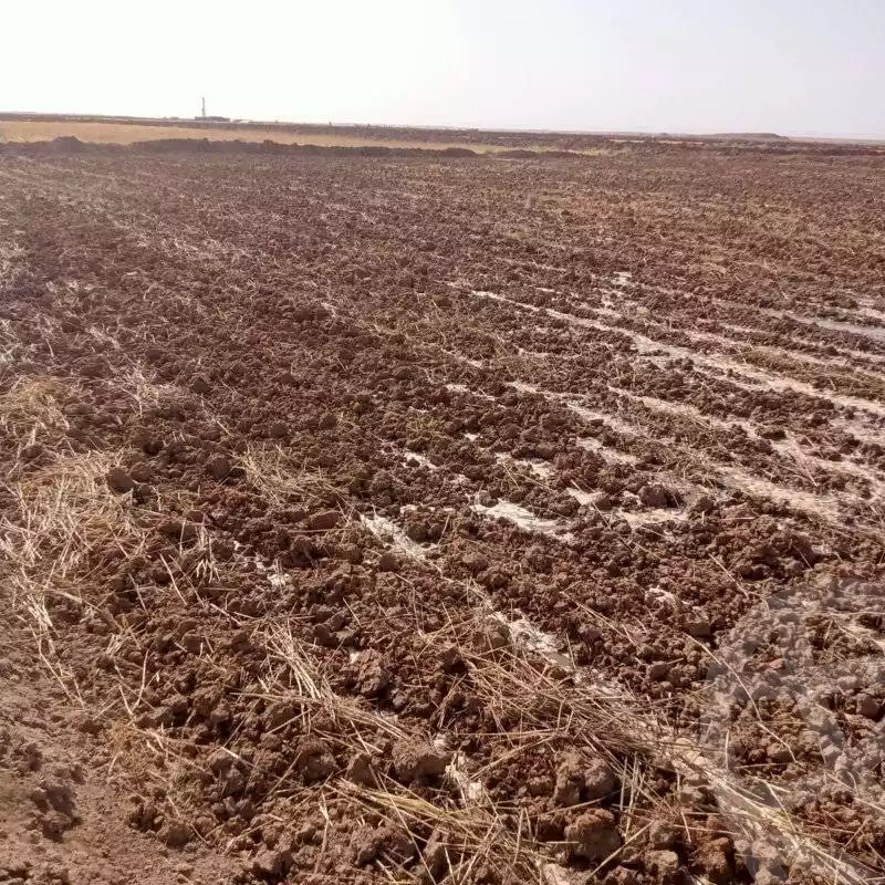 https://aqarmap.com.eg/ar/listing/5965158-for-sale-new-valley-dakhla-oasis