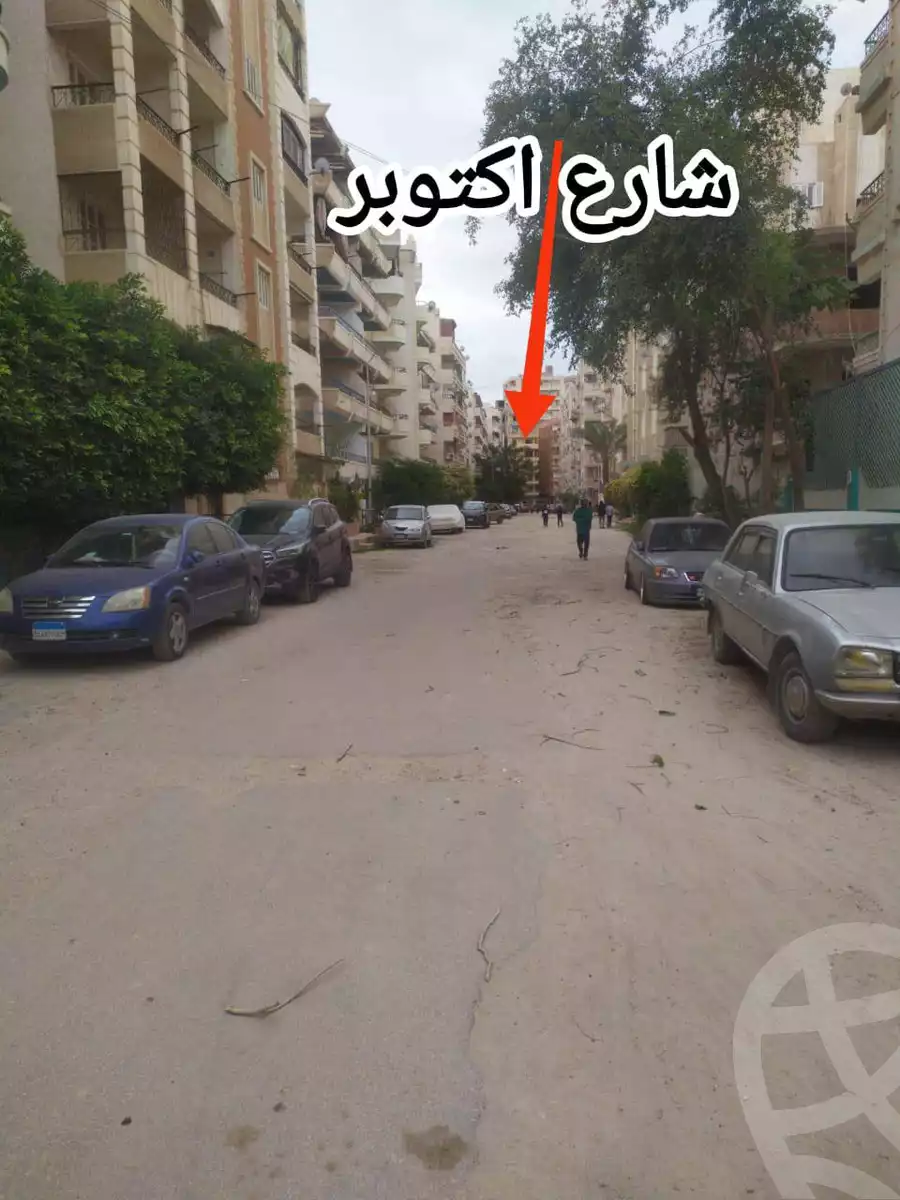https://aqarmap.com.eg/en/listing/5972996-for-sale-alexandria-l-jmy-shataa-el-nakheel
