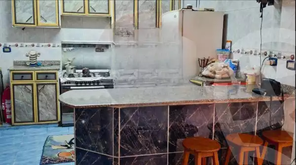 https://aqarmap.com.eg/en/listing/5973973-for-sale-alexandria-ganaklis