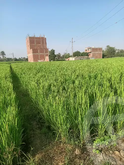 https://aqarmap.com.eg/en/listing/5977273-for-sale-sharqia-mashtul-el-soq-kafr-yousef-shehata