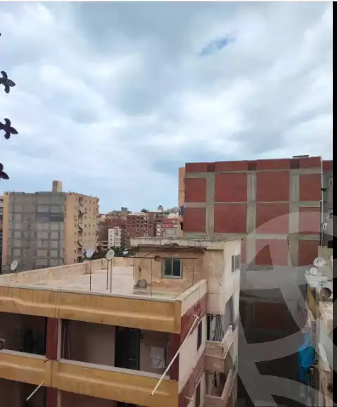 https://aqarmap.com.eg/en/listing/5977996-for-sale-alexandria-l-jmy-el-hanouvel-kasr-al-quiri-st-1