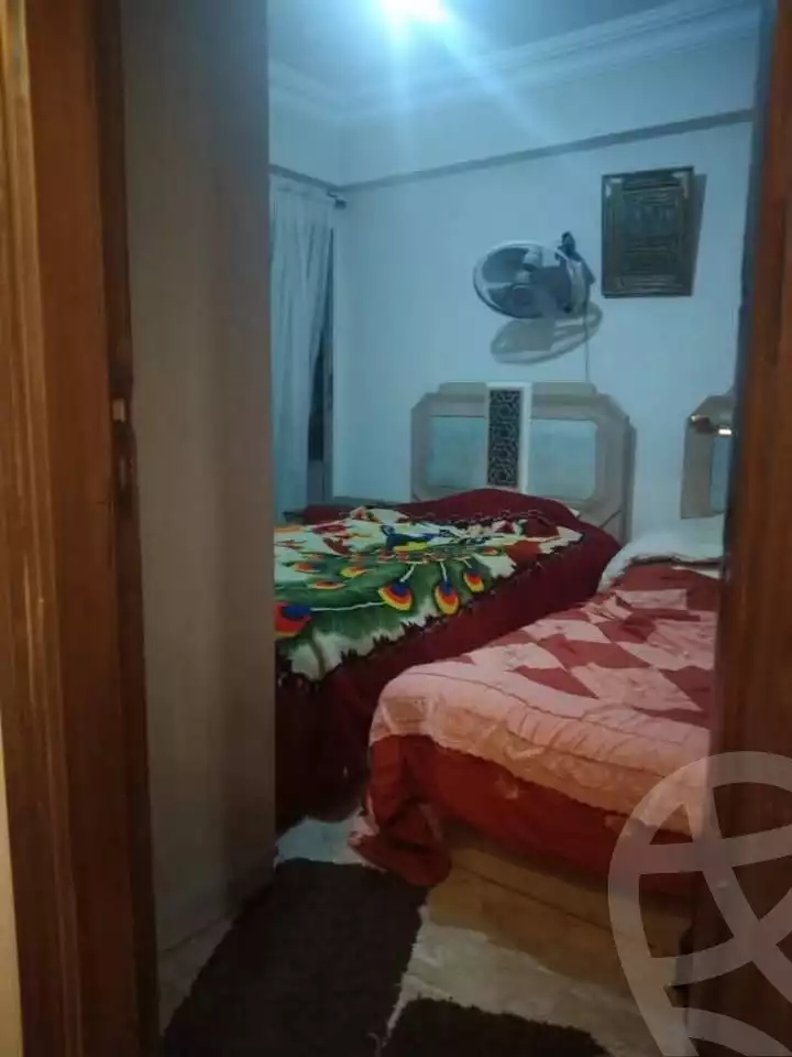 https://aqarmap.com.eg/ar/listing/5978166-for-sale-alexandria-l-jmy-lbytsh-shahr-al-assal-st