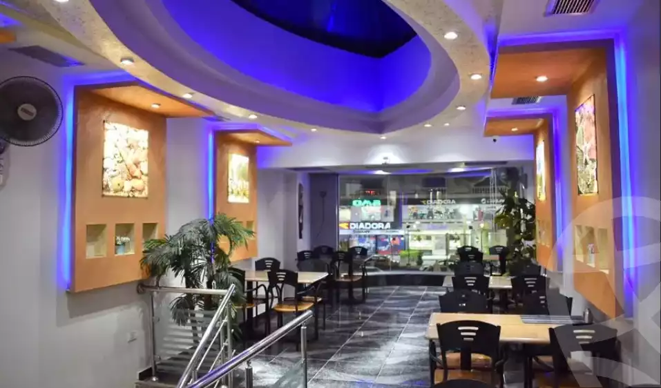 https://aqarmap.com.eg/en/listing/5978549-for-rent-cairo-nasr-city