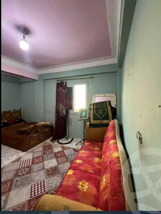 https://aqarmap.com.eg/en/listing/5984957-for-sale-alexandria-l-jmy-lbytsh-khalil-ballw-st