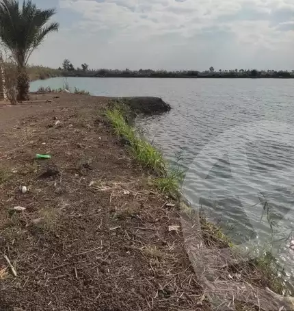 https://aqarmap.com.eg/en/listing/5987930-for-sale-kafr-el-sheikh-el-hamool-el-hamoul-city