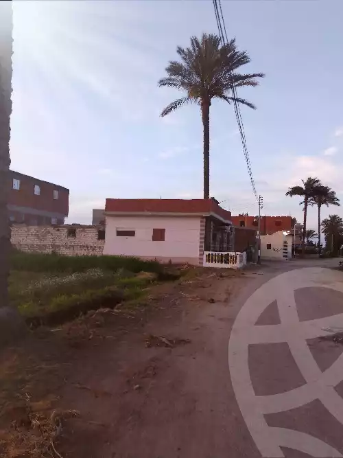 https://aqarmap.com.eg/en/listing/5996949-for-sale-dakahlia-el-mansoura-gamasa-road