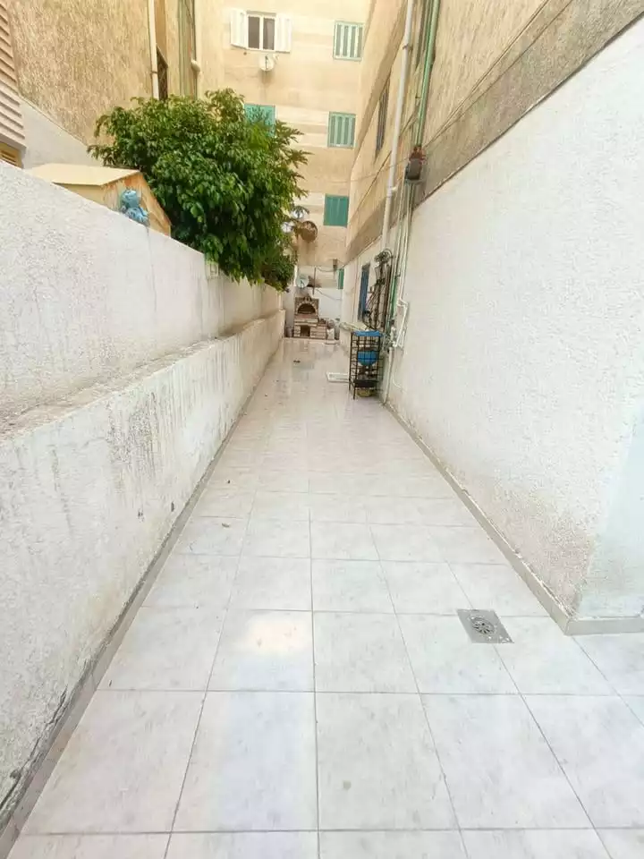 https://aqarmap.com.eg/en/listing/5997065-for-sale-alexandria-l-jmy-shataa-el-nakheel