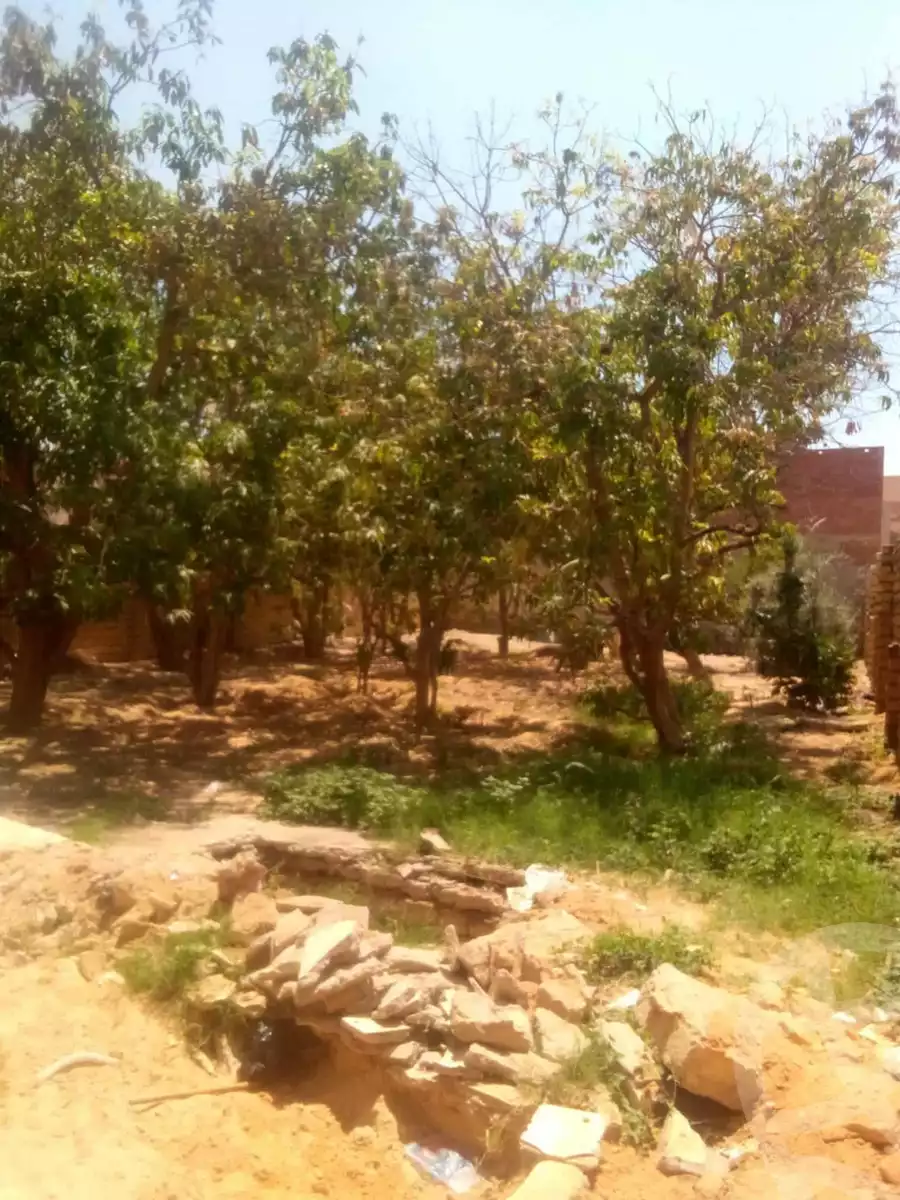 https://aqarmap.com.eg/en/listing/5997689-for-rent-ismailia-fayed