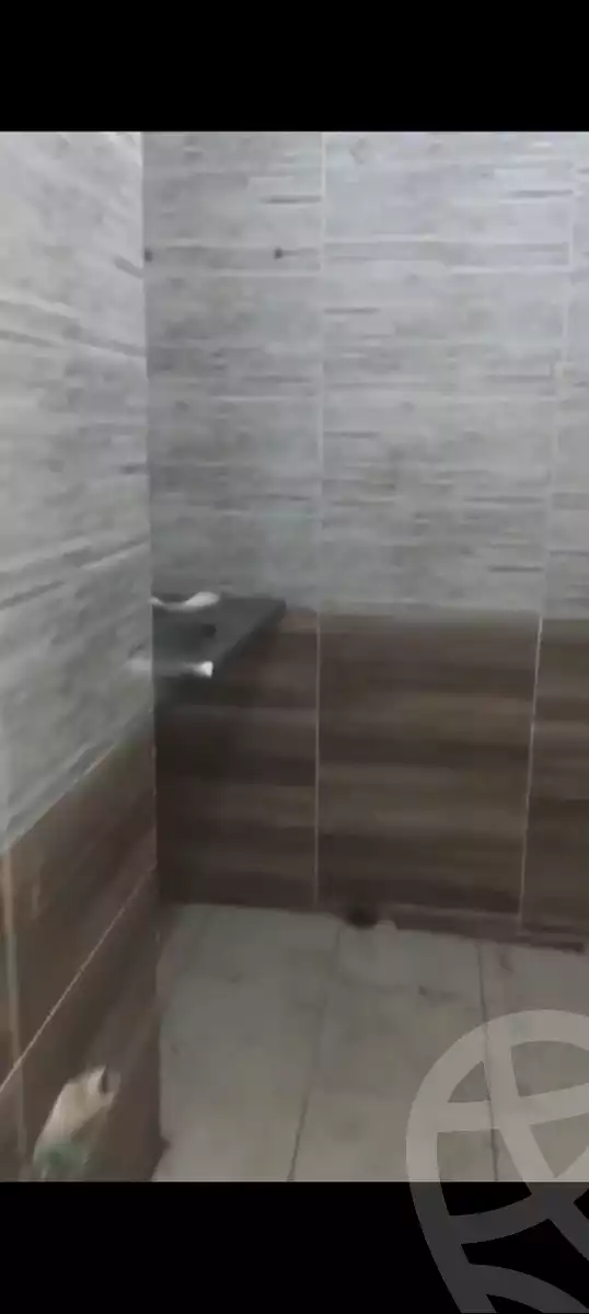 https://aqarmap.com.eg/ar/listing/5997724-for-rent-cairo-el-haram-mishaal