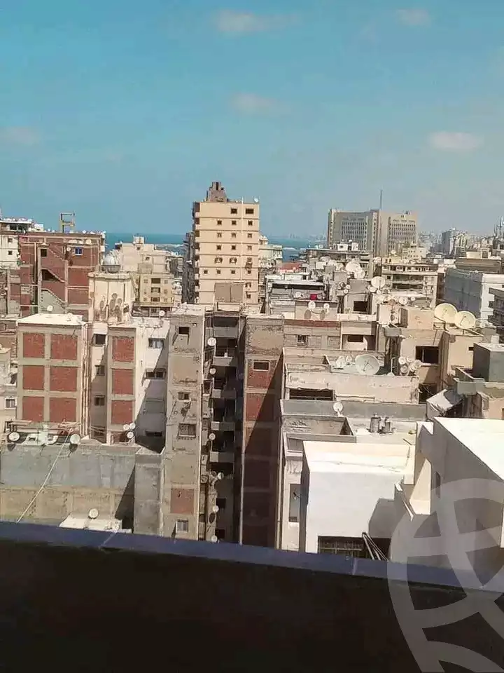 https://aqarmap.com.eg/en/listing/6000773-for-sale-alexandria-mansheya