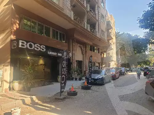 https://aqarmap.com.eg/en/listing/6001493-for-sale-cairo-dokki