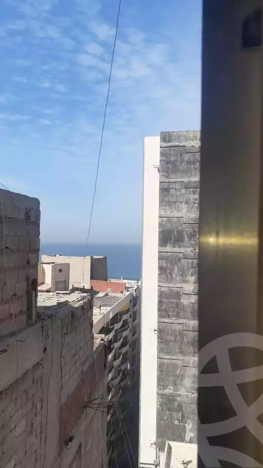 https://aqarmap.com.eg/en/listing/6008301-for-sale-alexandria-miami-iskandar-ibrahim-st