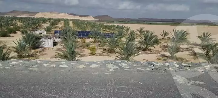 https://aqarmap.com.eg/en/listing/6008405-for-sale-marsa-matruh-siwa-oasis-wahet-siwaa-city