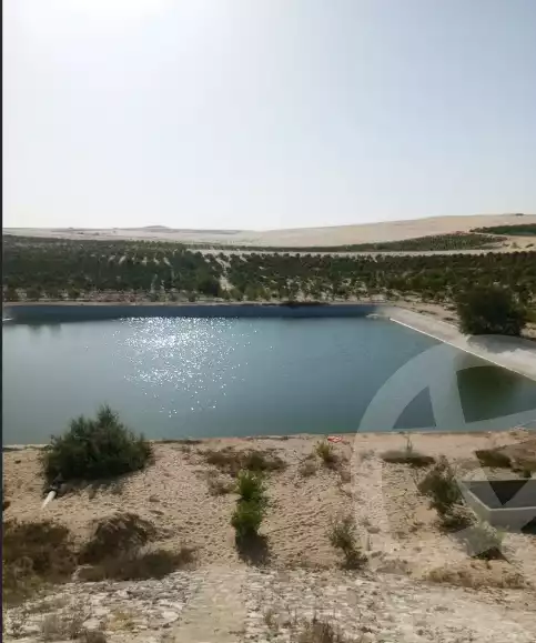 https://aqarmap.com.eg/ar/listing/6010659-for-sale-ismailia-new-ismailia