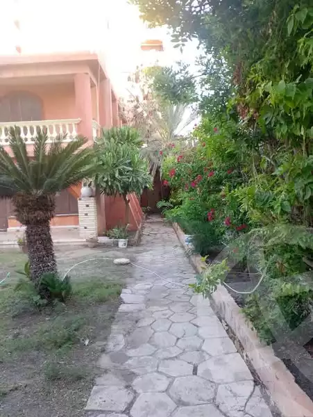 https://aqarmap.com.eg/ar/listing/6010807-for-sale-alexandria-l-jmy-bw-ywsf